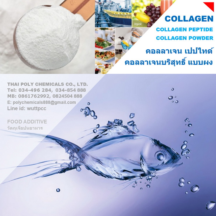 คอลลาเจนผง, ผงคอลลาเจน, Collagen Powder